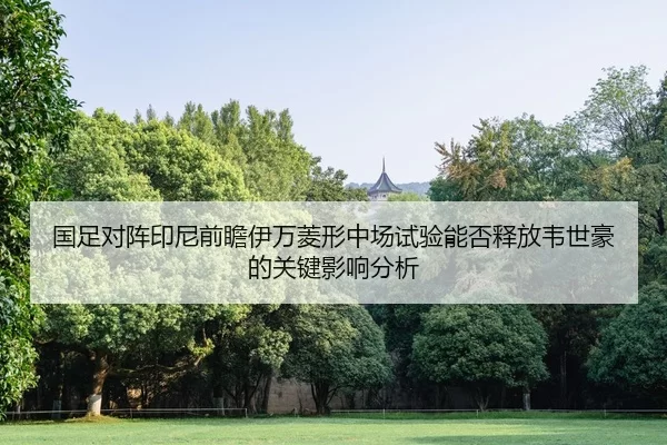 国足对阵印尼前瞻伊万菱形中场试验能否释放韦世豪的关键影响分析