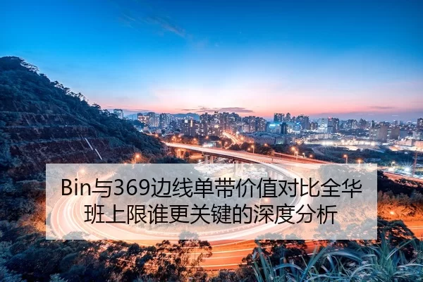 Bin与369边线单带价值对比全华班上限谁更关键的深度分析（huatihui）