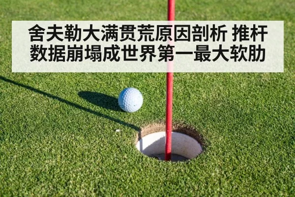 舍夫勒大满贯荒原因剖析 推杆数据崩塌成世界第一最大软肋 - huatihui