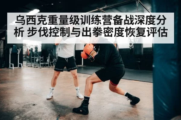 乌西克重量级训练营备战深度分析 步伐控制与出拳密度恢复评估